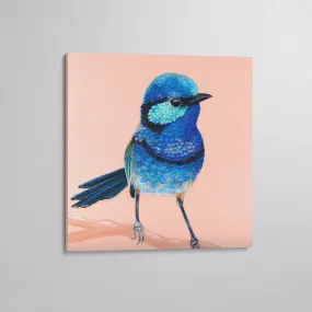 'Charlie' The Splendid Fairy Wren canvas print