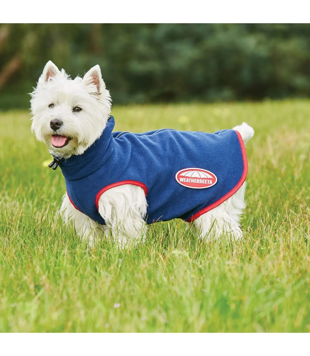 Comfitec fleece zipped dog jacket 40cm navy/red Weatherbeeta