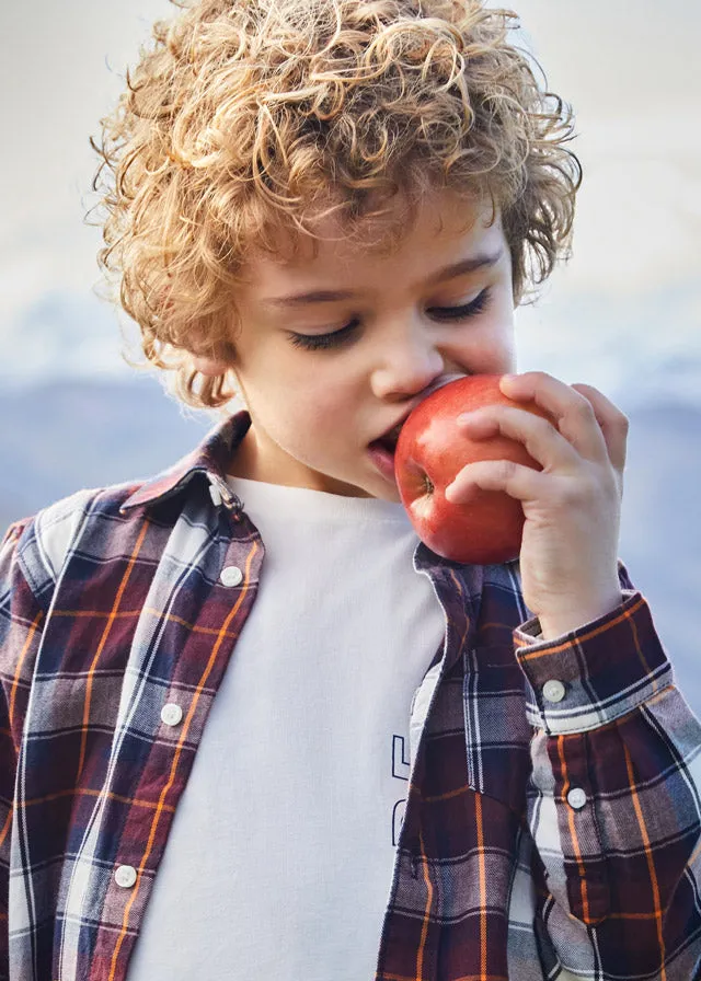 L/s checked shirt for boy - Plum