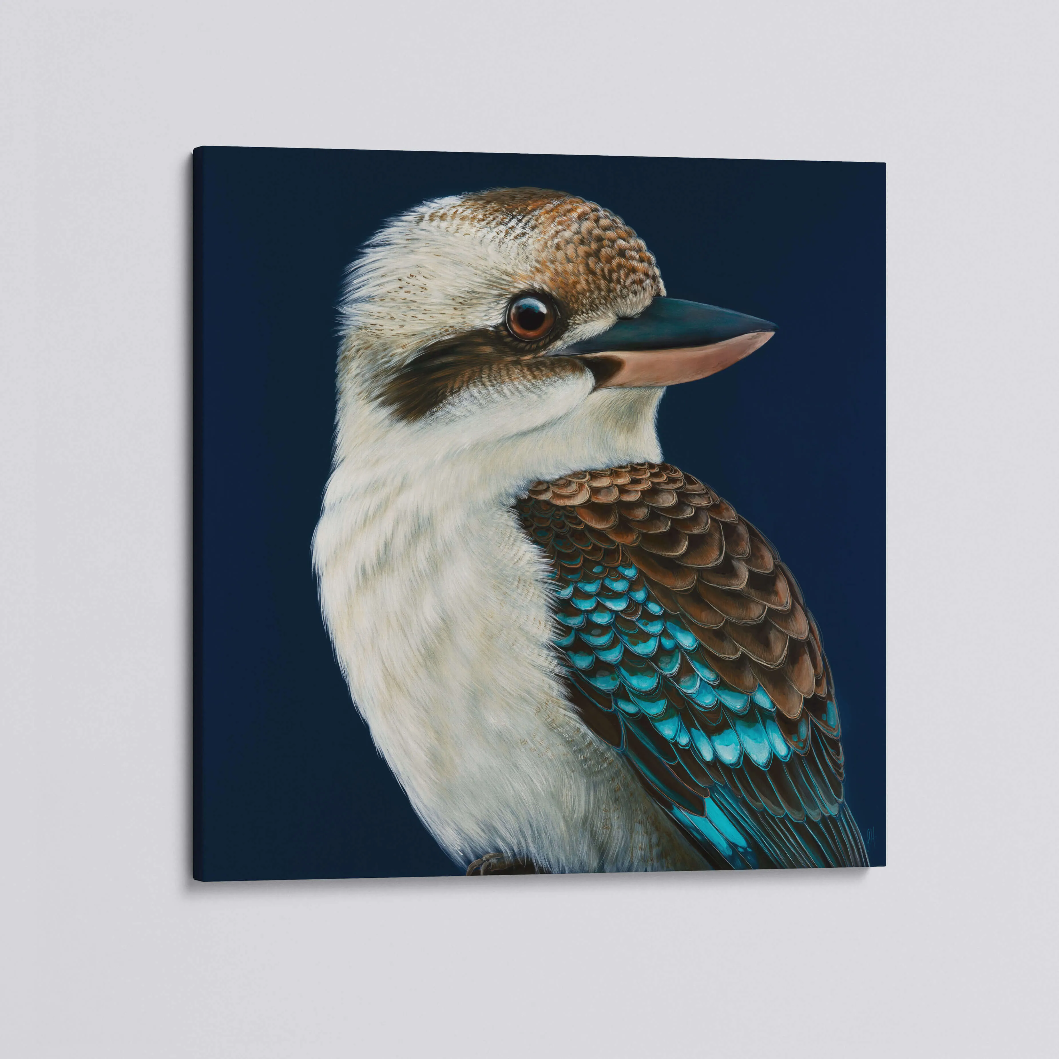 'Milo' the Laughing Kookaburra canvas print