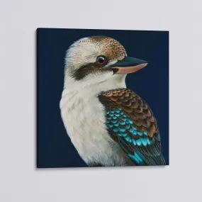 'Milo' the Laughing Kookaburra canvas print